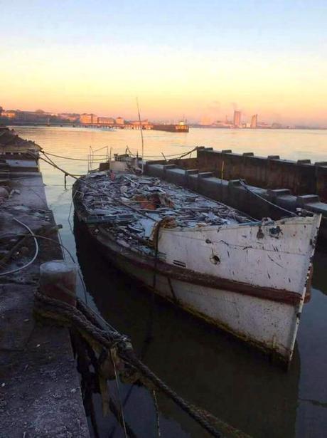The wreck of the Wibbley Wobbley The wreck of the Wibbley Wobbley