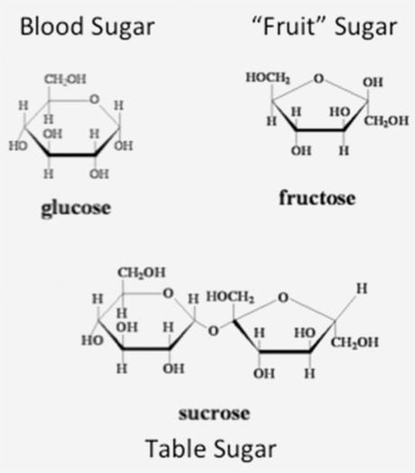 Fructose and the Toxic Effects of Sugar