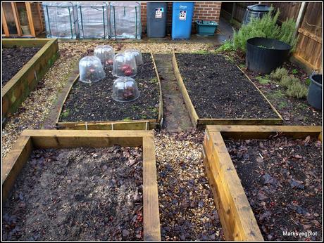 Plans for the raised beds - or not
