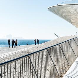 Roofwalk Roofwalk