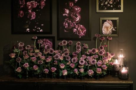 Celebrating our New Showroom Celebrating our New Showroom
