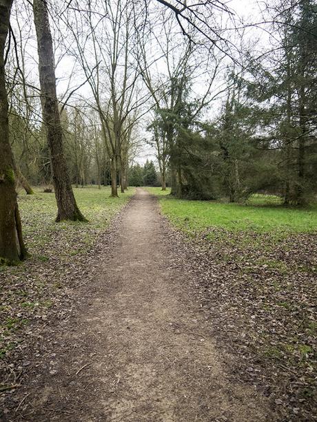 Path Through Hazeley Wood