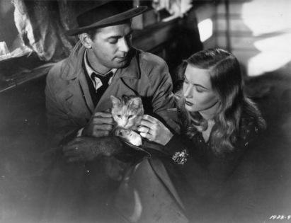 Feline Noir: Cats and Cinema’s Mean Streets Feline Noir: Cats and Cinema’s Mean Streets
