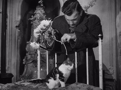 Feline Noir: Cats and Cinema’s Mean Streets Feline Noir: Cats and Cinema’s Mean Streets
