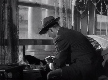 Feline Noir: Cats and Cinema’s Mean Streets Feline Noir: Cats and Cinema’s Mean Streets