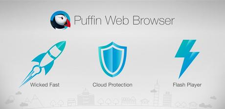 Puffin Browser Pro v6.0.5.15703 APK