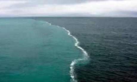 The Top 10 Largest Oceans and Seas in the Entire World