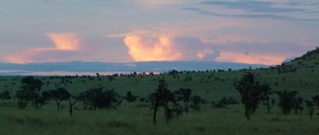 Wild & Tranquil Africa: Game Safaris in Kenya Uncovered