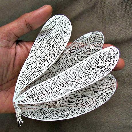 Moth Papercut - Parth Kothekar Paper Cuttings by Parth Kothekar