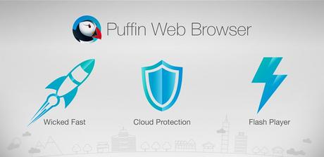 Puffin Browser Pro v6.0.6.15710 APK Puffin Browser Pro v6.0.6.15710 APK