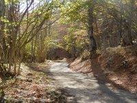 Mountain biking & fall foliage in Abruzzo Autumn biking, Abruzzo
