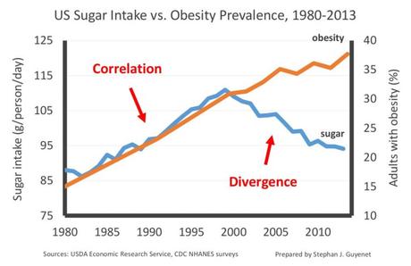 Why Does Sugar Make People Fat?