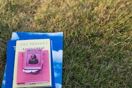 Stack of books in the grass with shakespeare