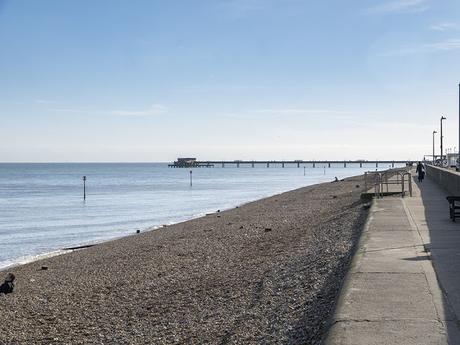 Distant Views of the Pier