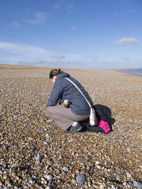 Zoe Searching for Shells