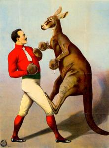 AIM – The end of the Iceman’s live act? + Van Gogh and the boxing kangaroos AIM – The end of the Iceman’s live act? + Van Gogh and the boxing kangaroos
