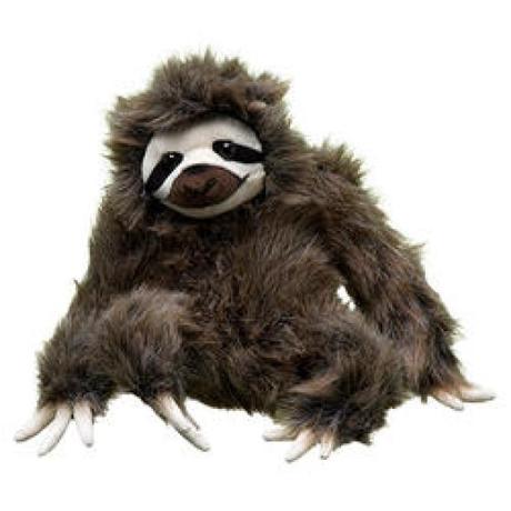 Inspired by Endangered Sloths – Sloth Meditation
