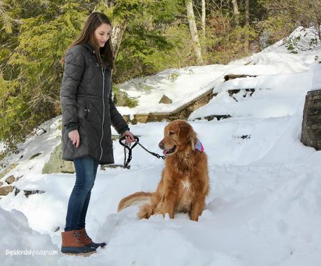 golden retriever dog with sister hiking in the park