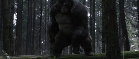 The Flash’s “Attack on Gorilla City”: Ugly Gorillas, Go Away