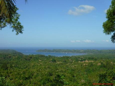 Naturally Guimaras: Of Spanish Ruins, Mangoes, and Windmills Guimaras Forest