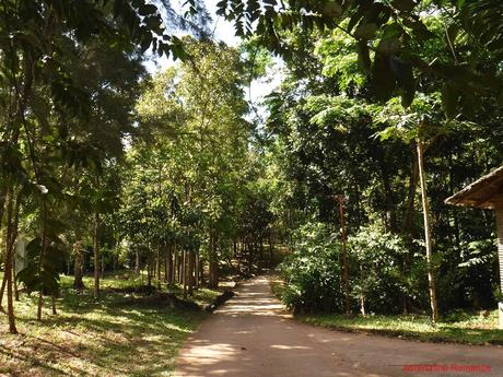 Naturally Guimaras: Of Spanish Ruins, Mangoes, and Windmills Trappist Monastery