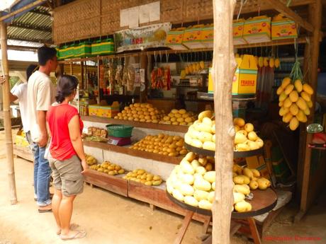 Naturally Guimaras: Of Spanish Ruins, Mangoes, and Windmills Guimaras Mangoes