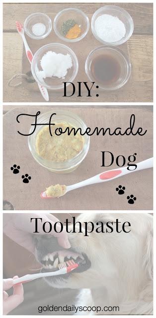 how to make your own toothpaste for dogs #petdentalhealthmonth