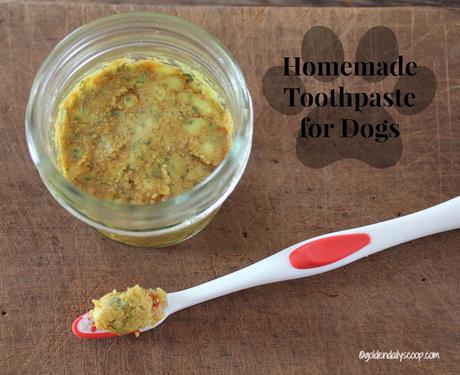 diy healthy homemade toothpaste for dogs