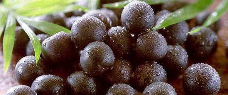 Acai Berry Benefits in Zenith Nutrition Acai Fab Capsules Acai Berry Benefits in Zenith Nutrition Acai Fab Capsules