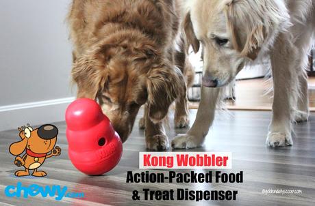 golden retriever dogs playing with Kong Wobbler interactive toy