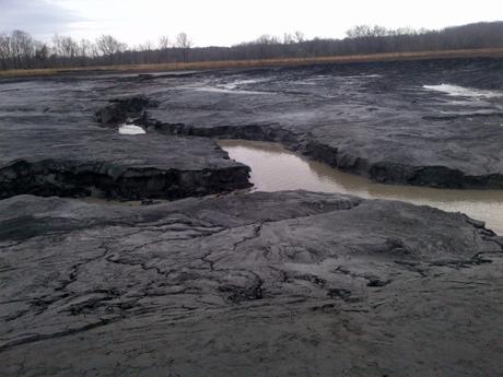 Bed of Dan River is Poisoned by Coal Ash for 70 Miles: Turtles Emerging & Dying