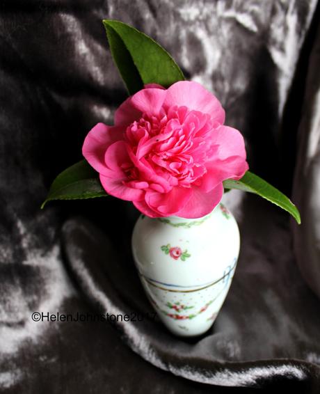 In A Vase on Monday – Camellia