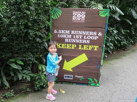Our Run for Wildlife Experience at Safari Zoo Run 2017