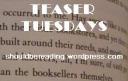 Teaser Tuesdays: Sharp Objects