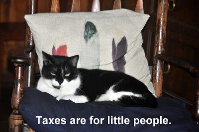 Time to Get the Tax Stuff Sorted