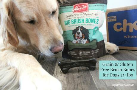 how to keep your dogs teeth and gums clean with Merrick Big Brush Bones