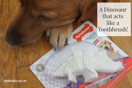 top dog toys that help clean their teeth #petdentalhealthmonth