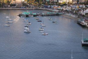 Two Lovely Days, Where? Gorgeous Catalina Island, California