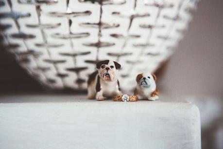 A Creative Modern Wedding by Leanne Jade Photography A Creative Modern Wedding by Leanne Jade Photography