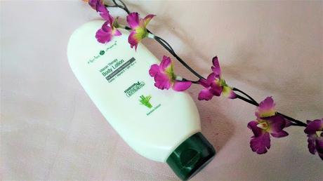 Getting Summer Ready with Herbs & More Getting Summer Ready with Herbs & More