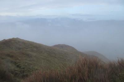 Reaching the Summit: Mt. Pulag Chronicles