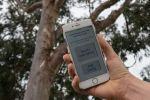 Job: Koala Data Research Technician Job: Koala Data Research Technician