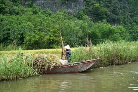 Vietnam: Ninh Bình to Phong Nha
