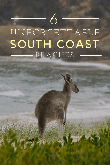 6 Unforgettable South Coast Beaches in Australia Australia is known worldwide for its excellent beaches, and the South Coast beaches of New South Wales are among some of the very best in the country.