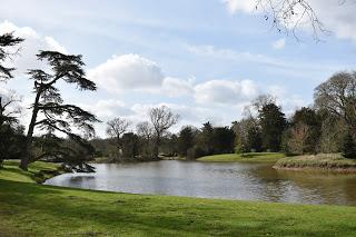 A visit to Croome to see the snowdrops