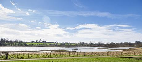 Floodplain Forest Nature Reserve Floodplain Forest Nature Reserve
