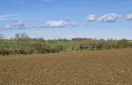 More fields More fields