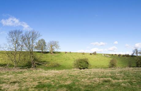 Hillside in sun Hillside in sun