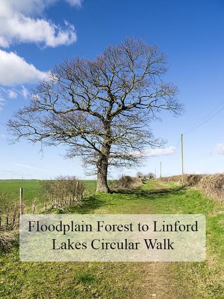 Floodplain Forest to Linford Lakes Circular Walk Floodplain Forest to Linford Lakes Circular Walk