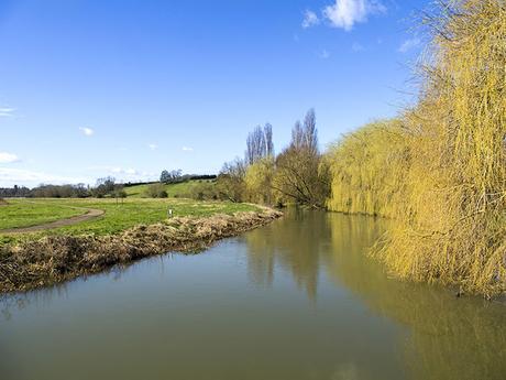 River Ouse looking stunning in the sunshine River Ouse looking stunning in the sunshine